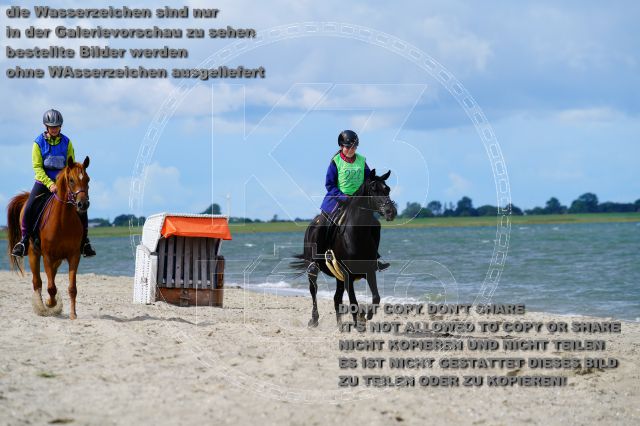 s_K3F05204.JPG